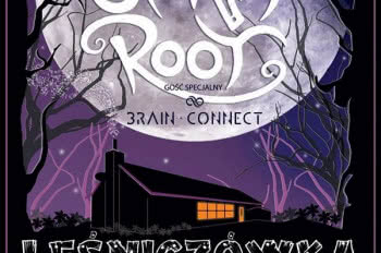 Brain Connect zagra ze szwedzkim Siena Root