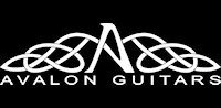 Gitary Avalon w ofercie Music Partners Polska!