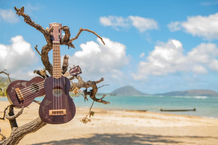 Ukulele Kala Hawaiian Islands and Tattoo