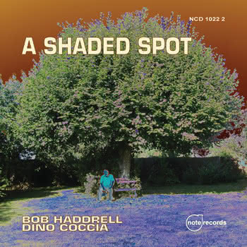 Bob Haddrell & Dino Coccia - A Shaded Spot