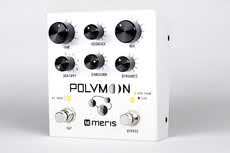 Meris Polymoon - Super-Modulated Multiple Tap Delay