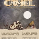Camel na dwóch koncertach w Polsce