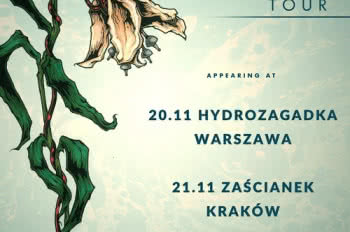 Torche