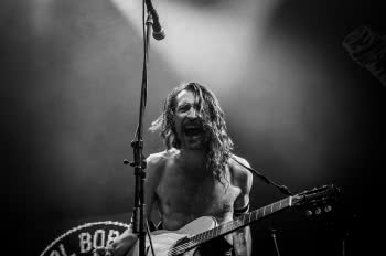 Gogol Bordello