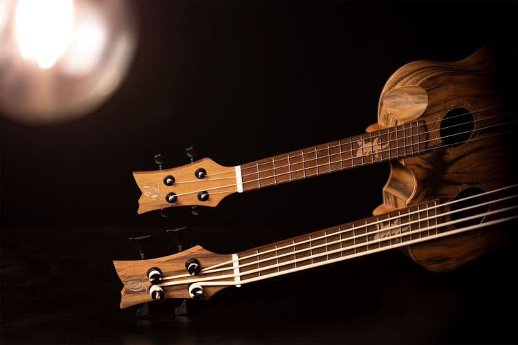 Dwugryfowe ukulele Ortega Hydra-BSTE