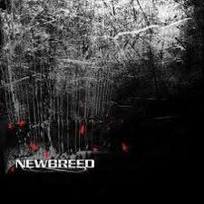 NeWBReed - Newbreed