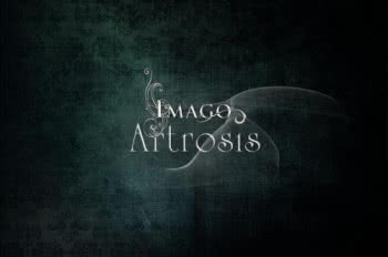 Artrosis - Imago już w sklepach