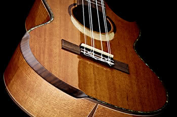 Nowa seria ukulele Eclipse Ortegi