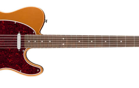 PARANORMAL TROY VAN LEEUWEN TELECASTER XII