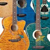 Nowe akustyki Luna Guitars z serii Fauna i Flora dostępne w ofercie FX Music