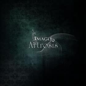 Artrosis - Imago