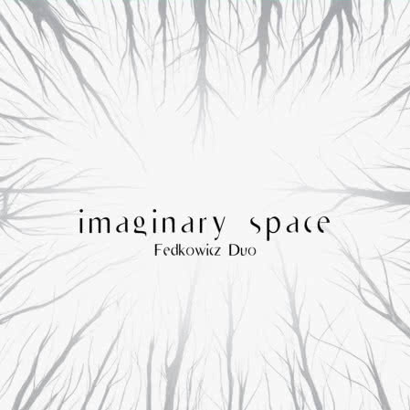 Fedkowicz Duo - Imaginary Space