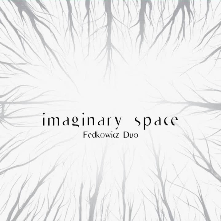 Fedkowicz Duo - Imaginary Space