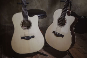 Ibanez Fingerstyle Collection