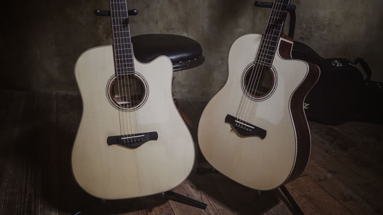 Ibanez Fingerstyle Collection