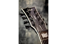 Na główce o typowym dla gitar marki LTD kształcie zamontowano osiem kluczy Grover oraz płytkę chroniącą dostępu do nakrętki pręta napinającego gryf.