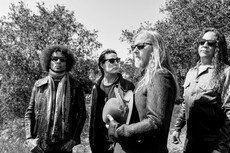 Alice In Chains - zobacz teledysk do "Never Fade"