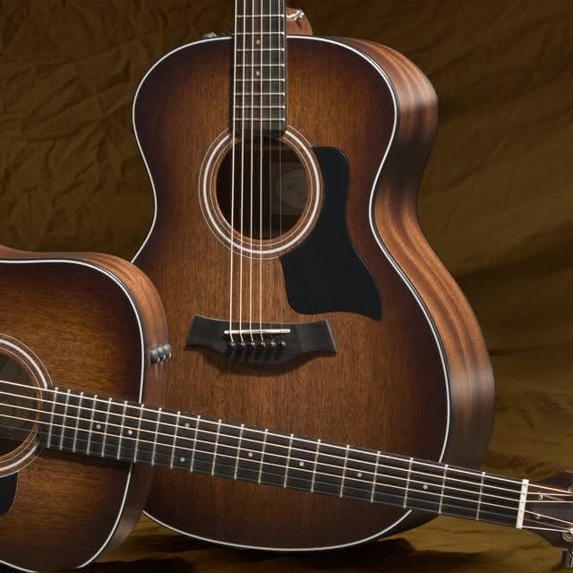 Specjalna edycja gitar akustycznych Taylora z serii 300