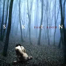 Panic Room - Skin