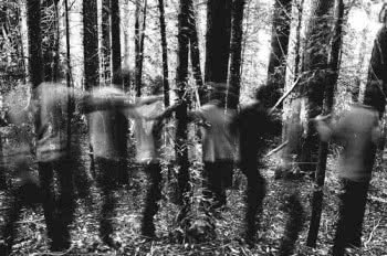 Kayo Dot i Botanist w Polsce
