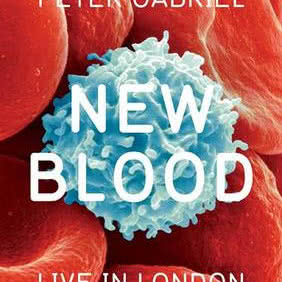 Nowa krew Petera Gabriela na DVD