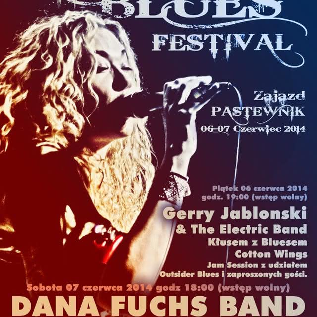 XII Przeworsk Blues Festival 2014