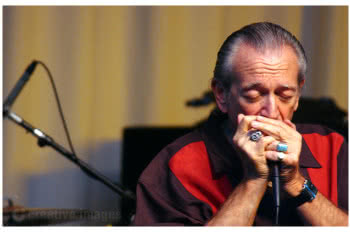 Alligator poluje na Blues Music Awards