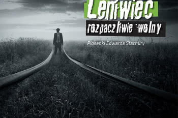 Leniwiec gra Stachurę