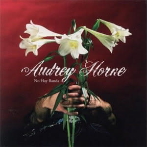 Audrey Horne - No Hay Banda