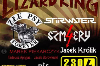 Koncert charytatywny dla Sprężyny