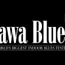Pierwsi artyści 39 Rawa Blues Festival