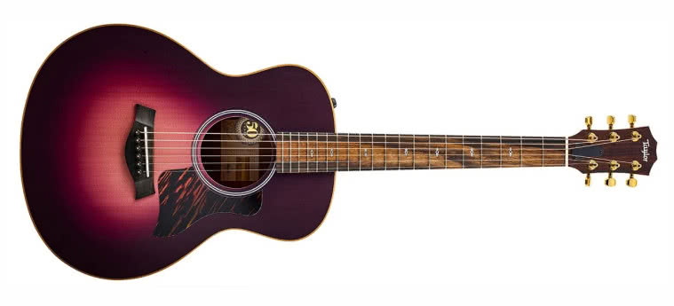 TAYLOR - 50th Anniversary GS Mini-e Rosewood