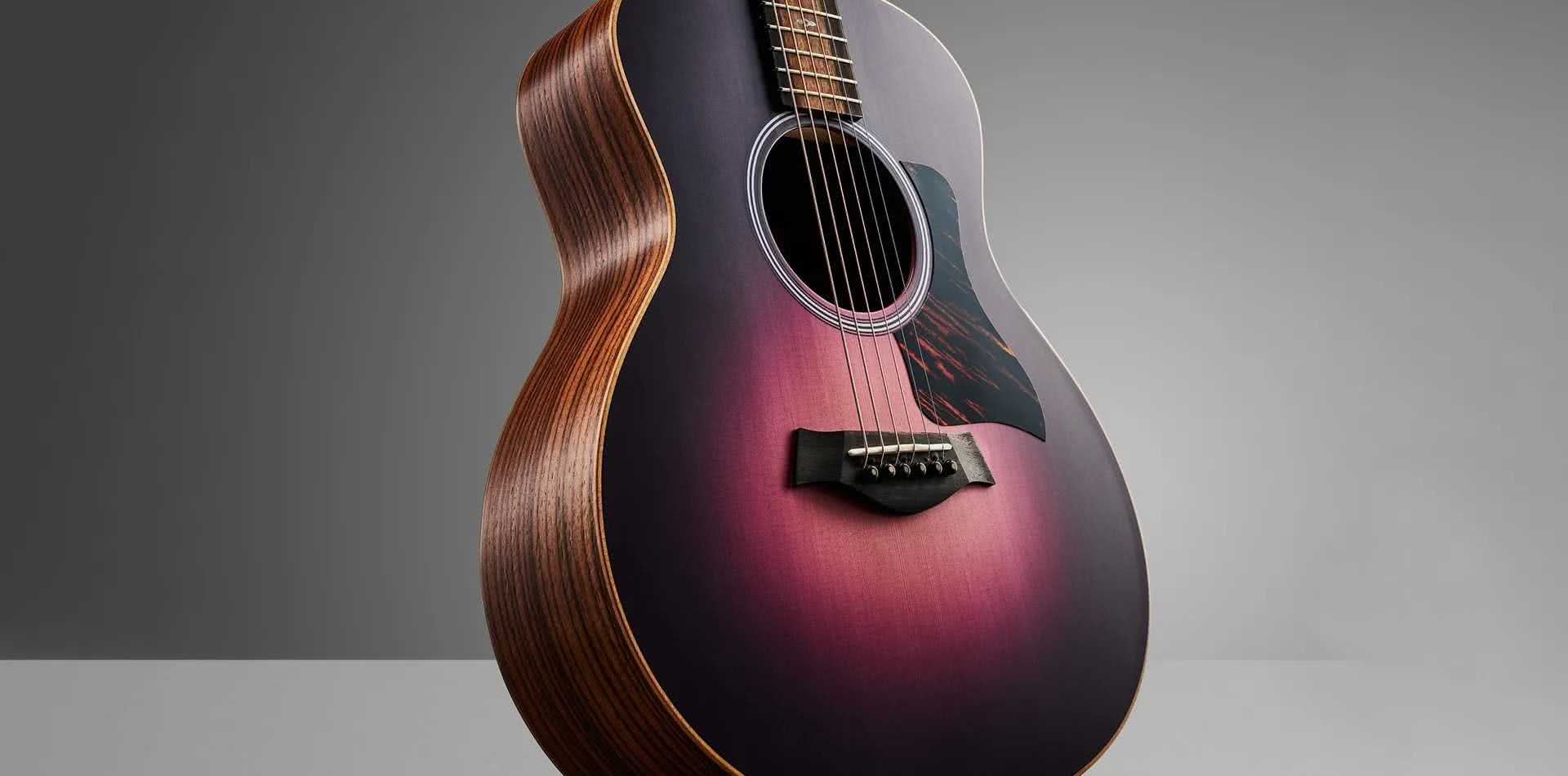 50th Anniversary GS Mini-e Rosewood