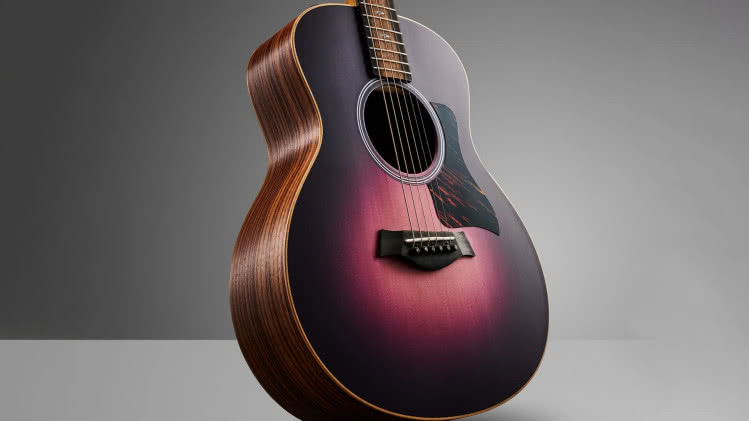 TAYLOR - 50th Anniversary GS Mini-e Rosewood