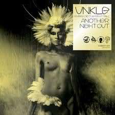 Unkle - Where Did The Night Fall - Another Night Out