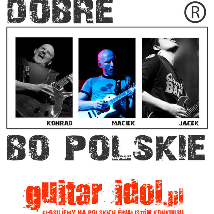 Polacy w plebiscycie Guitar Idol 2011