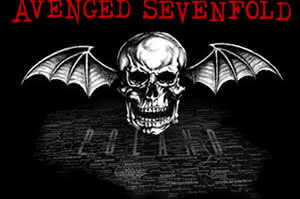 Avenged Sevenfold - 04.06.2014 - Łódź