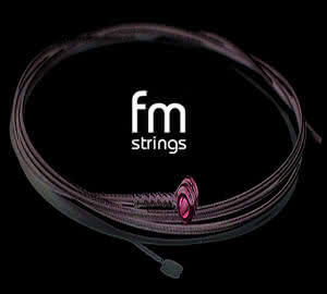FM Strings - wkrótce premiera!