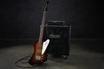 Gibson Thunderbird - ikona w nowej konfiguracji