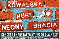 Pogo dla Kasi - Koncert charytatywny