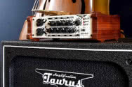 Taurus Qube-350 Acoustic