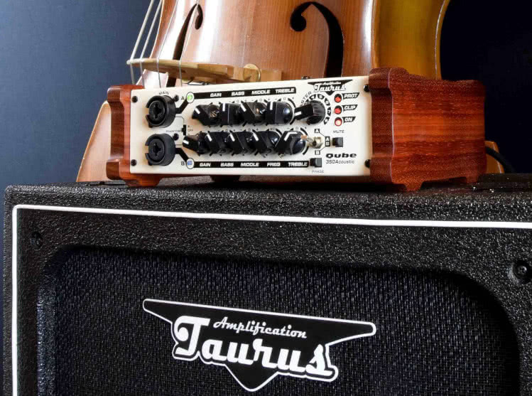 Taurus Qube-350 Acoustic