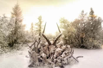Soundgarden wraca z King Animal