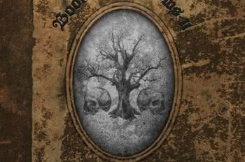 Zakk Wylde ujawnia singiel z solowego albumu