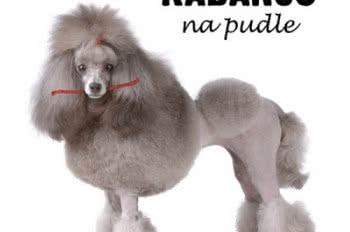 Akustyczny Kabanos rusza w trasę