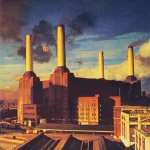 Pink Floyd - świnka znów lata