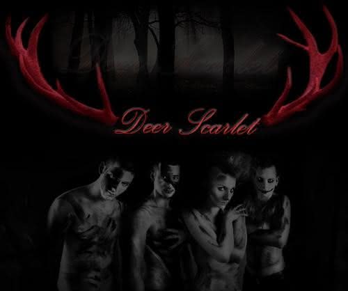 Posłuchaj pierwszego singla Deer Scarlet
